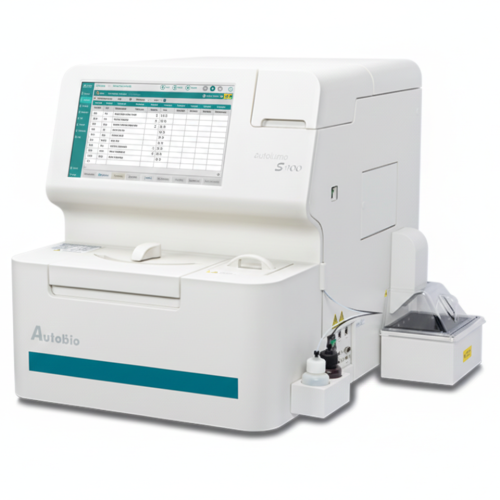 Gemini_Generated_Image_q6r1fzq6r1fzq6r1