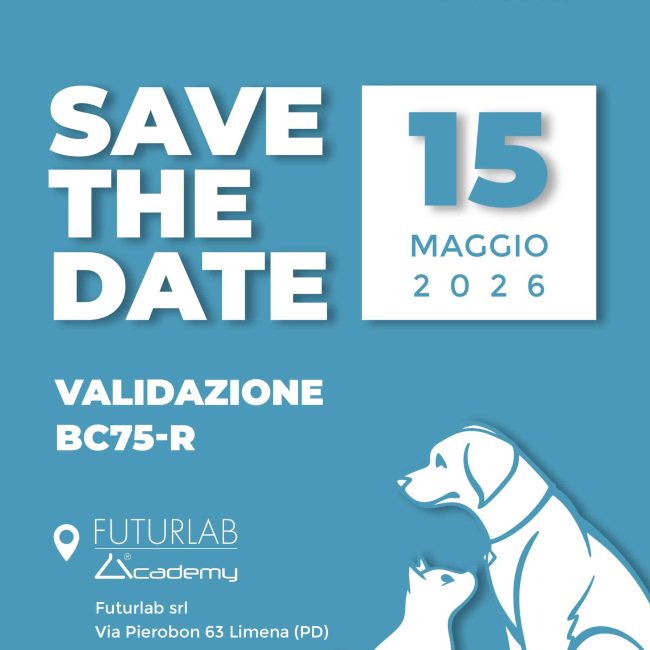 Save the Date-01